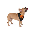 'INFERNKEV' Fire Skull Dog & Cat Accessory