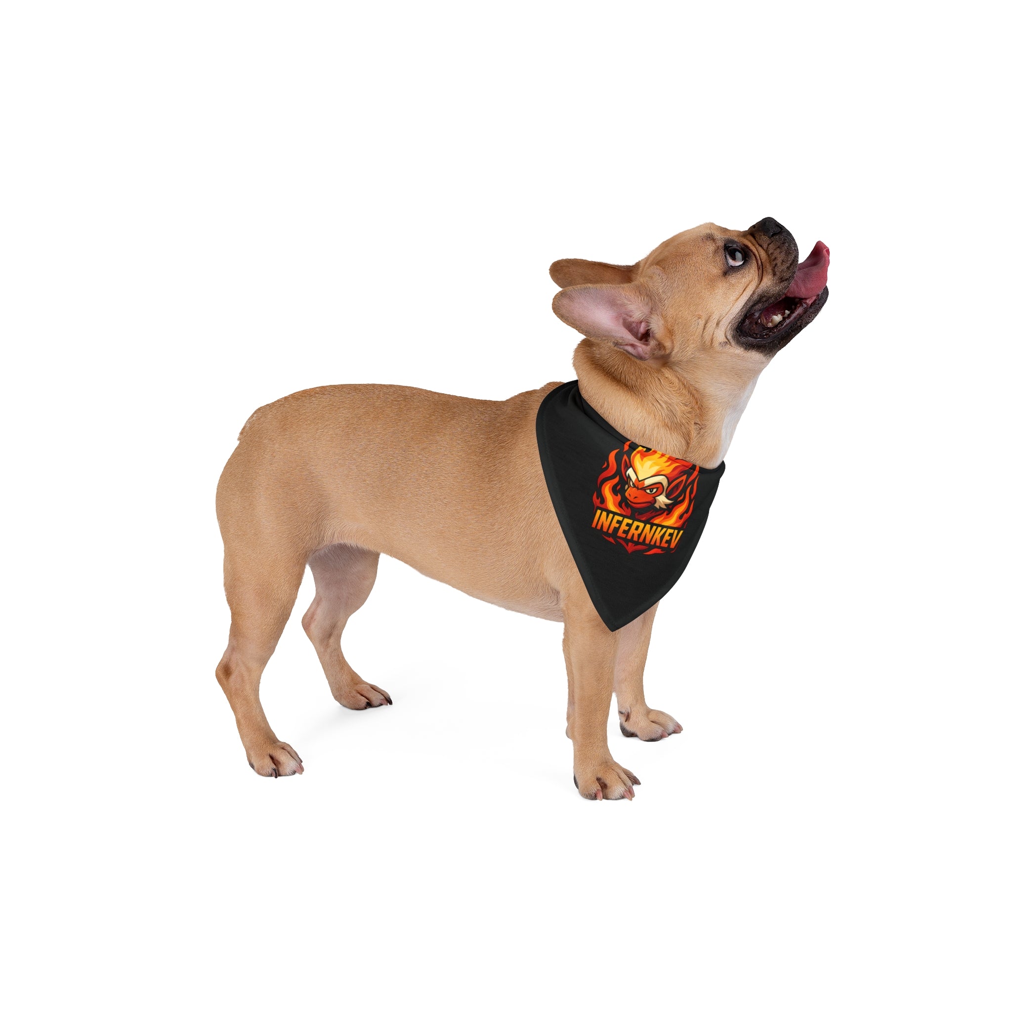 'INFERNKEV' Fire Skull Dog & Cat Accessory